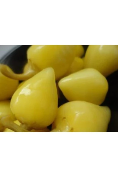 Muka Botanik Acı Fındık Biberi Tohumu Ekim Seti - Resim 4