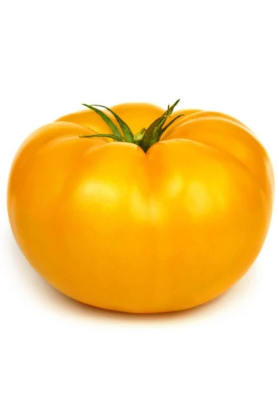 Muka Botanik Nadir Dev Italyan Sarı Pileli Domates Tohumu 5 Tohum ürün görseli