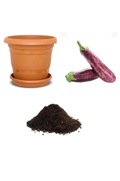 Muka Botanik Nadir Benekli Kemer Patlıcan Tohumu Ekim Seti ürün görseli