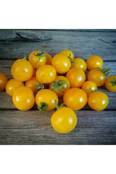 Muka Botanik 20 Adet Yellow Canary Micro Dwarf Domates Tohumu - Resim 2