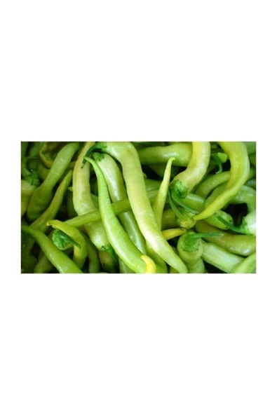 Muka Botanik Agrobazaar Çarliston(tatlı) Biber Tohumu 30+ Tohum ürün görseli