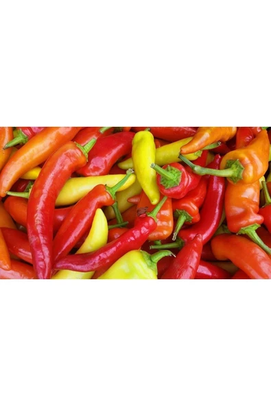 Muka Botanik 50 Adet Karışık Acı Biber Tohumu - Resim 3