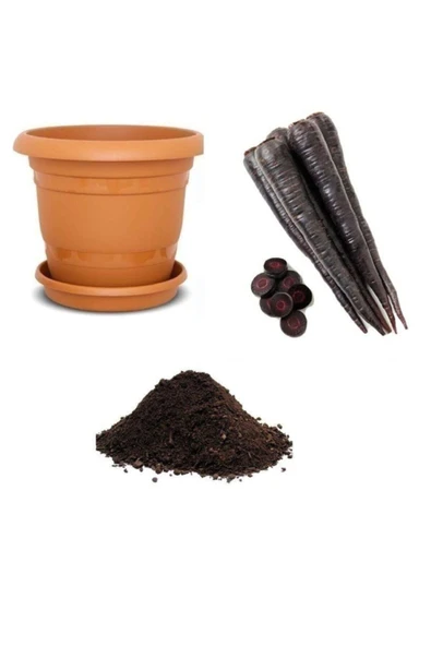 Muka Botanik Mor Havuç Tohumu Ekim Seti ürün görseli