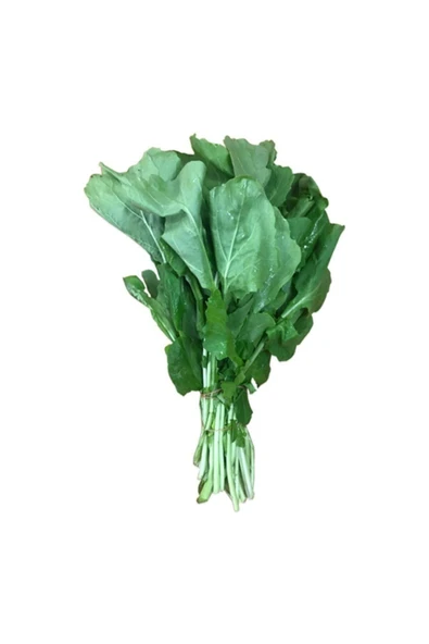 Muka Botanik Geleneksel Roka Tohumu 200 Adet Tohum Sebze Tohumu - Resim 2