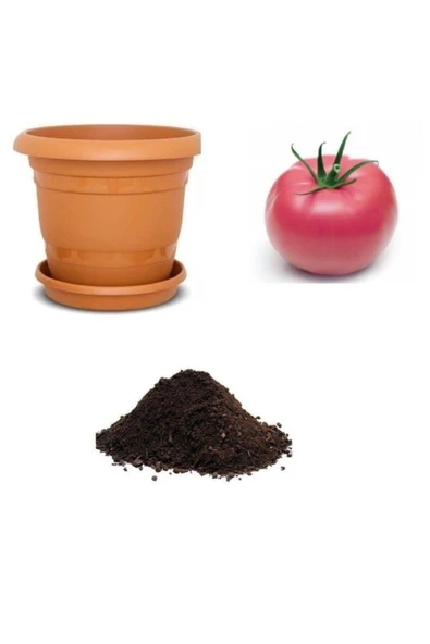 Muka Botanik Nadir Dev Pembe Domates Tohumu Ekim Seti ürün görseli