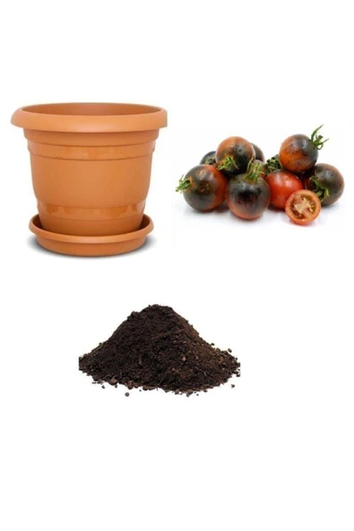 Muka Botanik Ithal Çikolata Domates Tohumu Ekim Seti ürün görseli