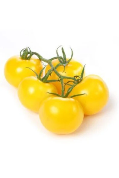 Muka Botanik Ithal Cherry Sarı Domates Tohumu Ekim Seti - Resim 2