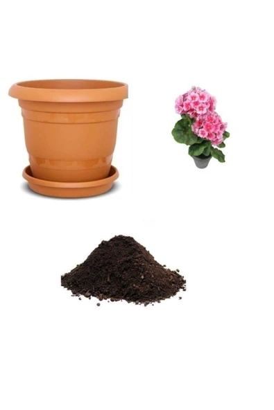 Muka Botanik Pembe Kadeh Çiçeği Tohumu Ekim Seti ürün görseli