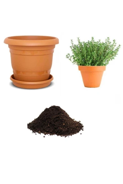 Muka Botanik Aromatik Dağ Kekik Tohumu Ekim Seti ürün görseli