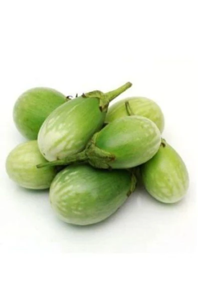 Muka Botanik Ithal Yeşil Dolmalık Patlıcan Tohumu Ekim Seti - Resim 4