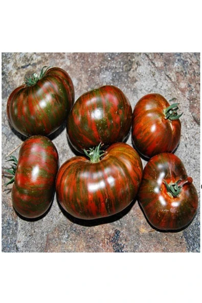 Muka Botanik 10 Adet Dev Kahverengi Domates Tohumu ürün görseli