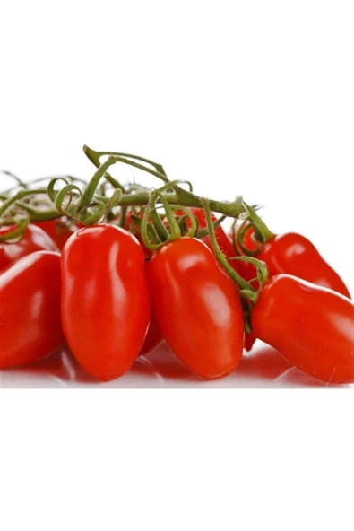 Muka Botanik 20 Adet Patio San Marzano Domates Tohumu ürün görseli