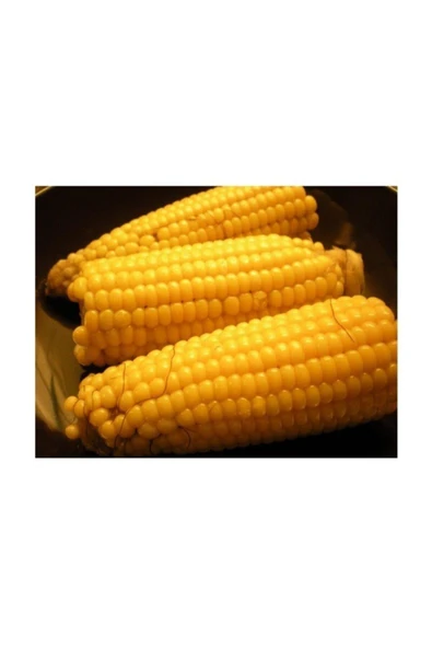 Muka Botanik Agrobazaar Tatlı Haşlamalık Mısır Tohumu 10 + Adet Tohum - Resim 2