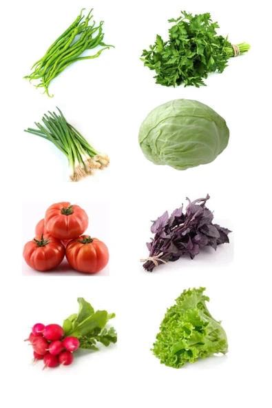 Muka Botanik Tohum Seti, 8 Çeşit Sebze Tohumu (fasulye, Maydanoz, Soğan, Lahana, Domates,reyhan,turp,marul)tohumu ürün görseli