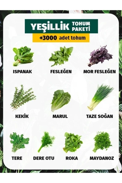 Muka Botanik 10 Çeşit Yeşillik Tohum Paketi 3000 Tohum ürün görseli