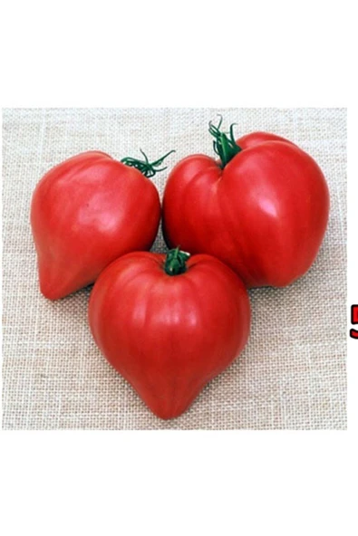 Muka Botanik 10 Adet Kalp Şeklinde Domates Tohumu ürün görseli