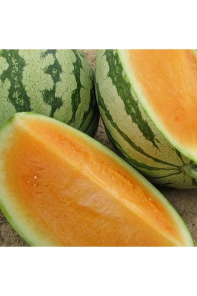 Muka Botanik 10 Adet Sweet Tendersweet Portakal Karpuz Tohumu ürün görseli