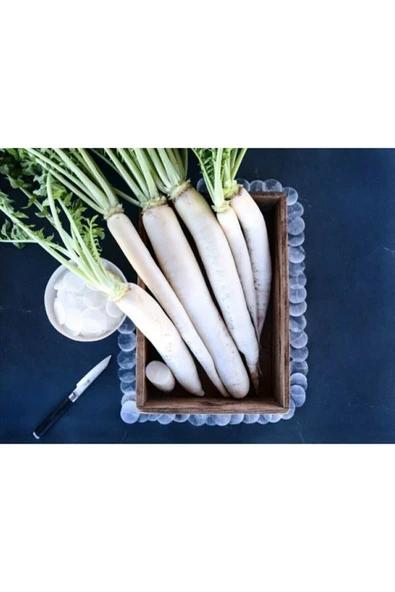 Muka Botanik 20 Adet Beyaz Japon Turpu Tohumu ürün görseli