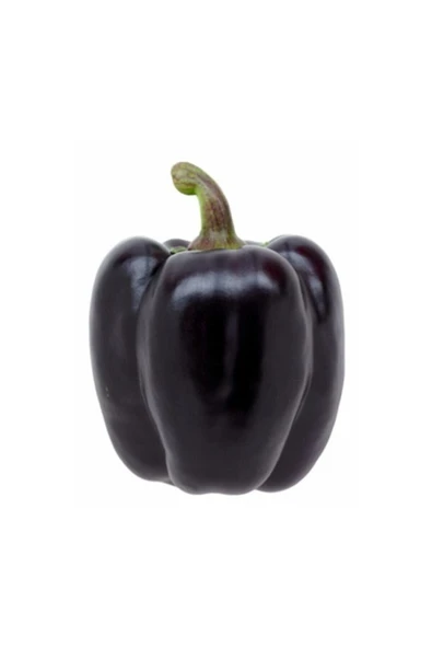 Muka Botanik Ithal Nadir Mor Dolmalık Biber Tohumu 5 Adet Tohum ürün görseli