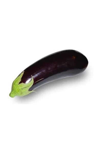 Muka Botanik Süper Paket 500 Adet Tohum Nadir Diyarbakır Kemer Patlıcan Tohumu - Resim 3