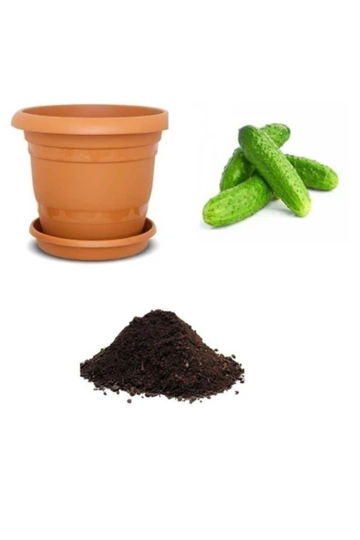 Muka Botanik Kornişon Salatalık Tohumu Ekim Seti ürün görseli