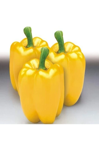 Muka Botanik 10 Adet Sarı Dolmalık Biber Tohumu ürün görseli