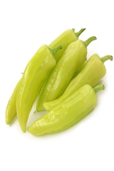 Muka Botanik 20 Adet Samsun Çarliston Biber Tohumu ürün görseli