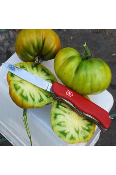 Muka Botanik 20 Adet Tasty Evergreen Domates Tohumu ürün görseli