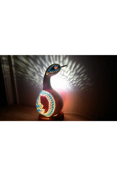 Muka Botanik Nadir Kuğu Su Kabağı Tohumu Ekim Seti - Resim 4