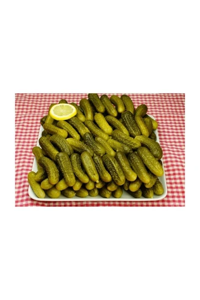 Muka Botanik Kıtır Turşuluk Kornişon Salatalık Tohumu 10 Adet Tohum - Resim 2