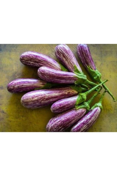 Muka Botanik Nadir Benekli Kemer Patlıcan Tohumu Ekim Seti - Resim 3