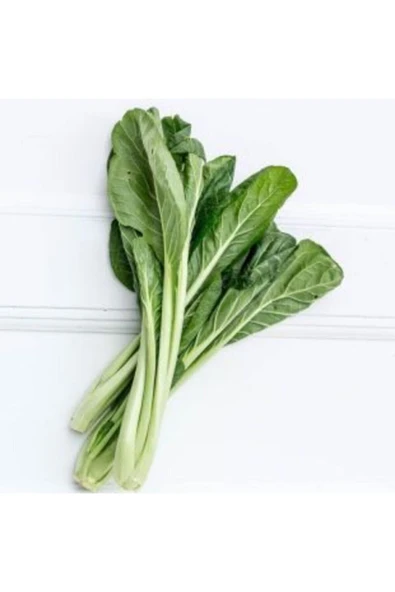 Muka Botanik Ithal Çin Yaprak Lahana Tohumu Ekim Seti - Resim 3