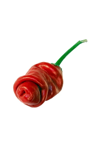 Muka Botanik Nadir Ithal Kırmızı Acı Biber Tohumu 10 Adet Tohum ürün görseli