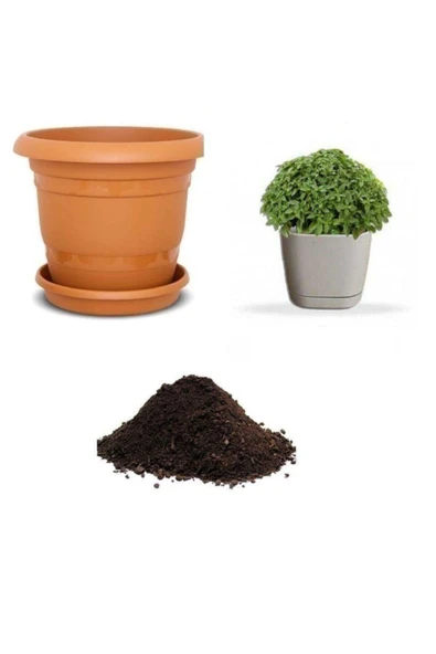 Muka Botanik Mis Kokulu Nane Tohumu Ekim Seti ürün görseli