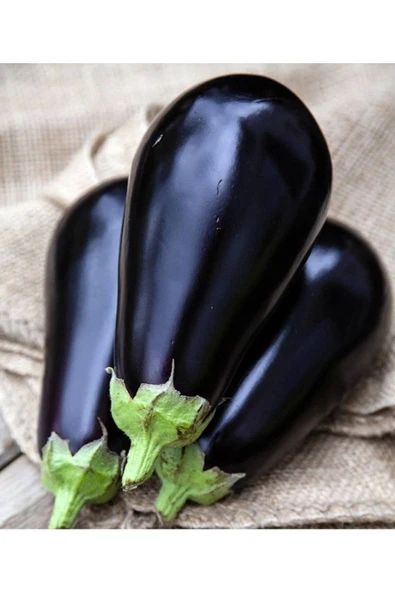 Muka Botanik 100 Black Beauty Patlıcan Tohumu ürün görseli