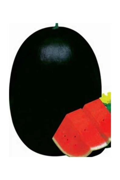 Muka Botanik Meşhur Halep Siyah Karpuz Tohumu 5 Adet Tohum ürün görseli