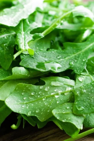 Muka Botanik Yerli Geleneksel Roka Tohumu / 100 Adet Tohum ürün görseli