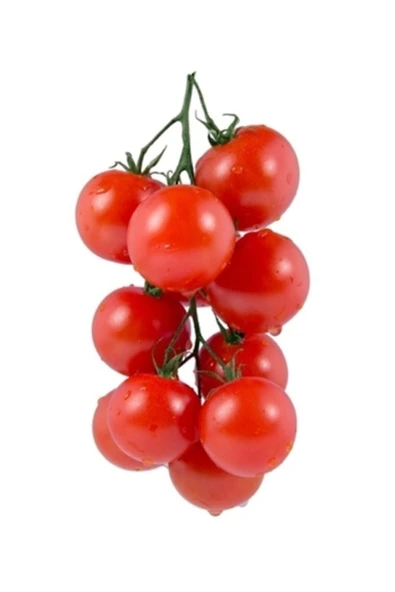 Muka Botanik Erkenci Beşdeli Salkım Domates Tohumu 10 Adet Tohum ürün görseli