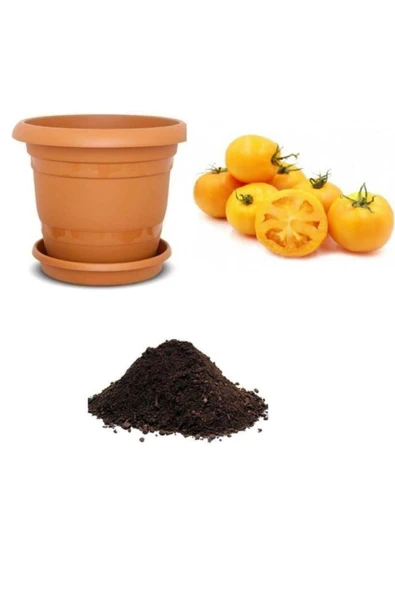 Muka Botanik Ithal Cherry Sarı Domates Tohumu Ekim Seti ürün görseli