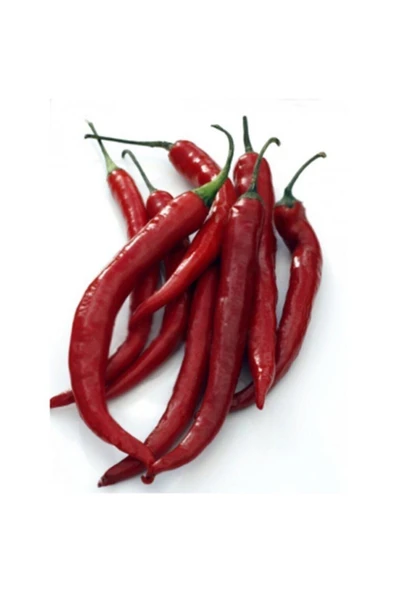Muka Botanik 10 Adet Uzun Kırmızı Cayanne Biber Tohumu ürün görseli