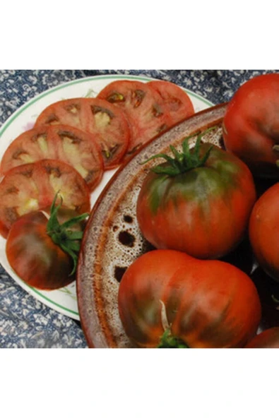 Muka Botanik 20 Adet Southern Nights Domates Tohumu ürün görseli