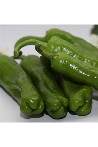 Muka Botanik 10 Adet Üç Burun Biber Tohumu ürün görseli