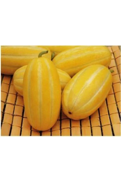 Muka Botanik Nadir Kore Kavunu Tohumu Ekim Seti - Resim 4