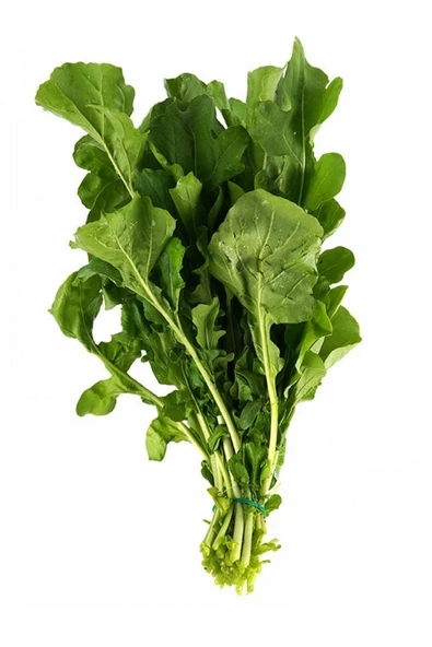 Muka Botanik Yerli Geleneksel Roka Tohumu / 100 Adet Tohum - Resim 4