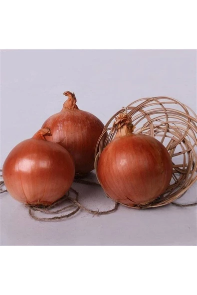 Muka Botanik 100 Adet Natural Soğan Tohumu ürün görseli