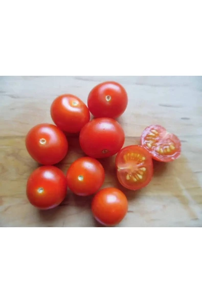 Muka Botanik 20 Adet Micro Dwarf Domates Tohumu - Resim 2