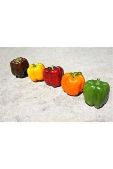 Muka Botanik Rengarenk Dolmalık Biber Tohumu Ekim Seti - Resim 4