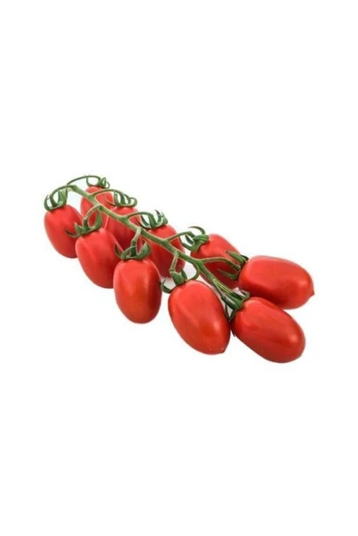 Muka Botanik Kurutmalık Salçalık Bursa Domatesi Tohumu 50 Adet Bursa Domates Tohumu ürün görseli