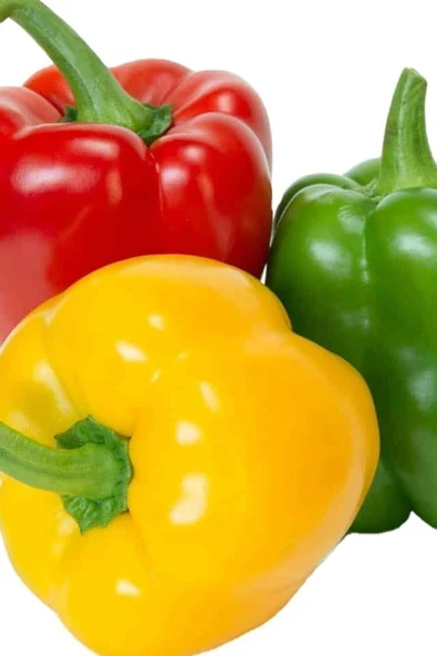 Muka Botanik Dolmalık Biber Tohumu Renkli 50 Adet ürün görseli