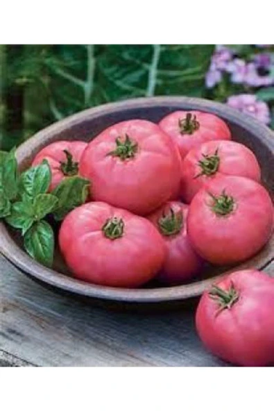 Muka Botanik Nadir Dev Pembe Domates Tohumu Ekim Seti - Resim 3